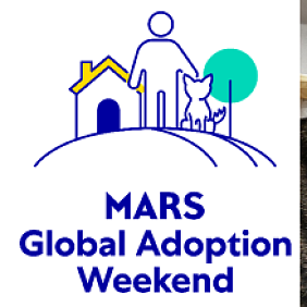 20261009-mars-global-adoption-weekend-2026-report HERO