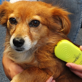 210819 Chiplesegeraet