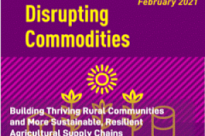 Building Thriving Rural Communities PDF cover