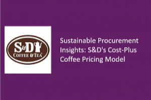 S&D Sustainable Procurement Insights PDF cover