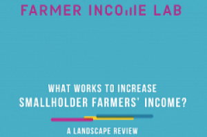What works to increase smallholder farmers' income PDF cover