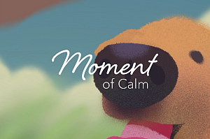 Moment of Calm