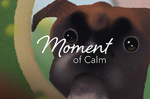 Moment of Calm