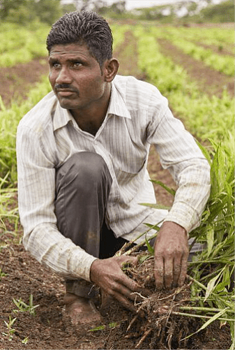 Man in field