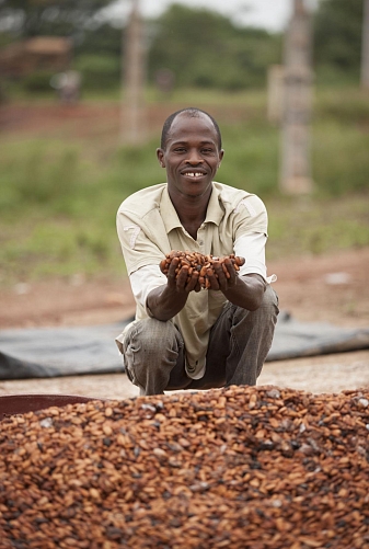 Thriving People Section 2 Cocoa Harvest Cote D'Ivoire