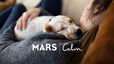 Person and a dog relaxing together