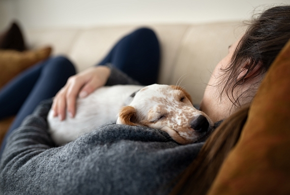 Person and a dog relaxing together
