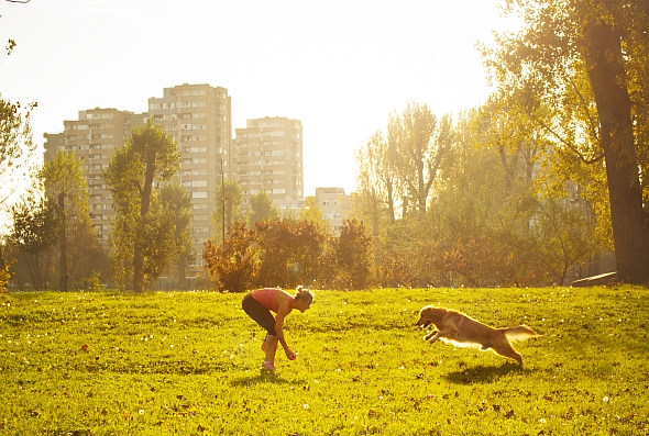 Woman and her dog playing in an urban park 