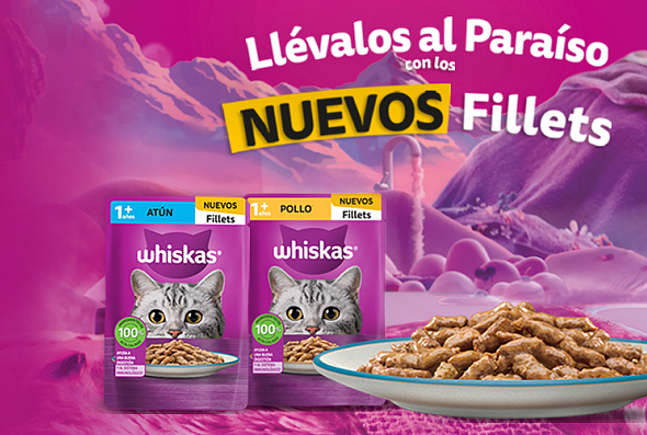 NOVA FILLETS 2026 MX