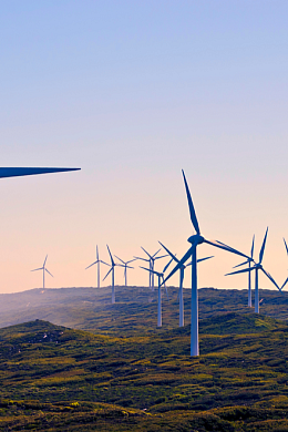 Windfarm Petcare page