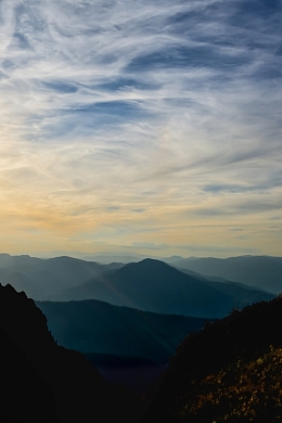 Person with a dog on a mountain