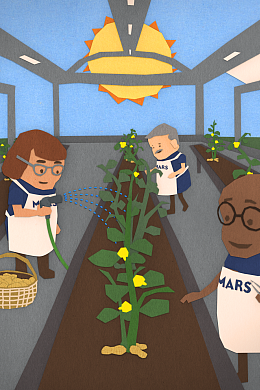 Protect the Peanut Plan Greenhouse Still