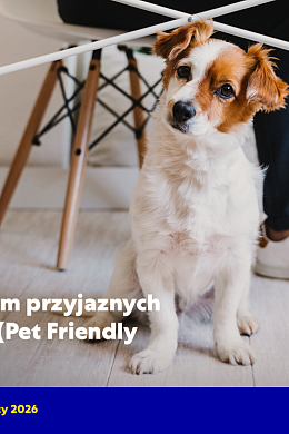 Raport Przewaga Firm Przyjaznych Zwierzętom