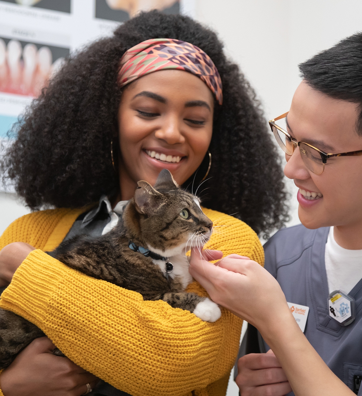 cat patient and vet enjoying a happy moment