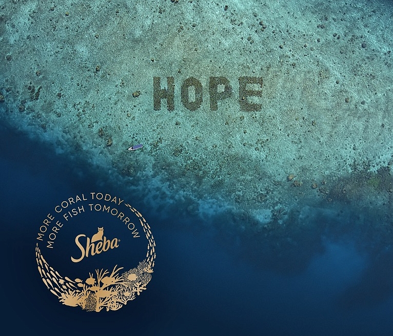 sheba hope reef image
