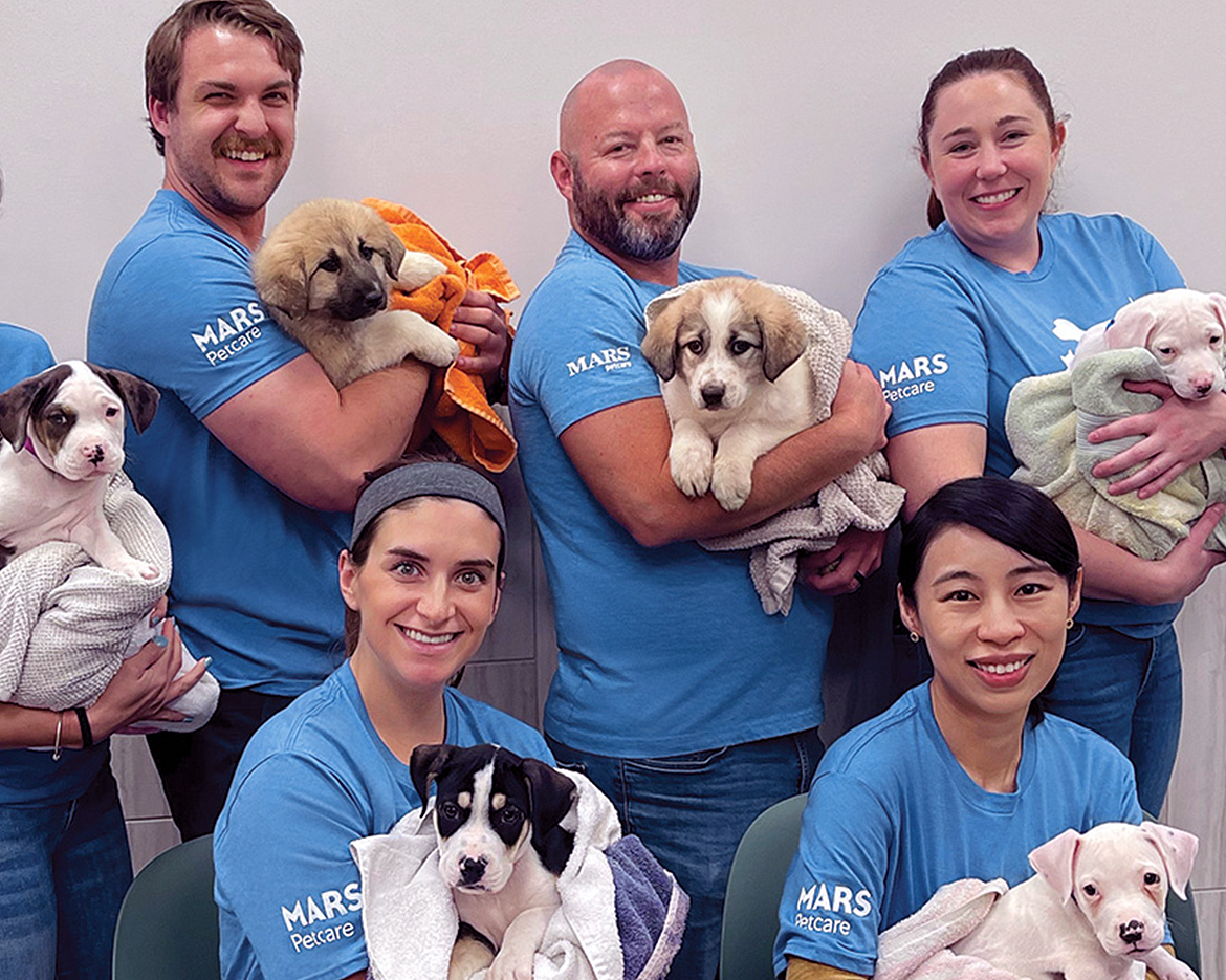 Group of Mars Associates with adoptable dogs