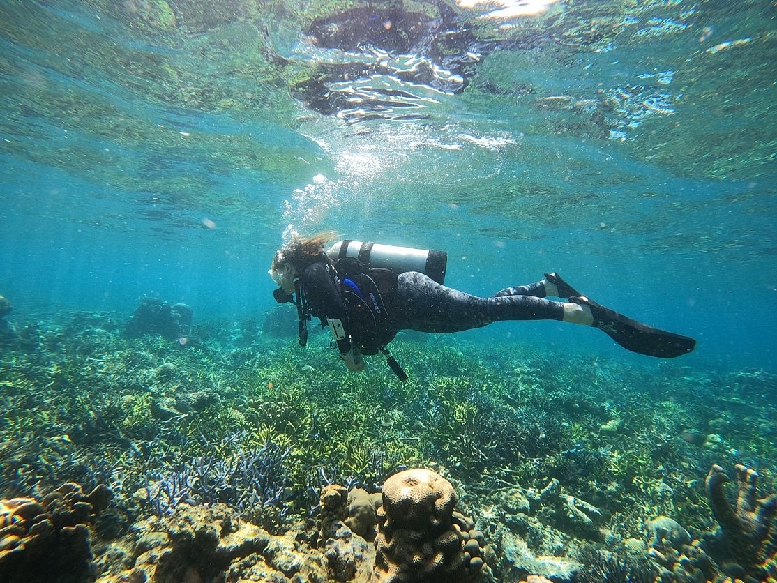 Restoring coral reefs in the Indonesian Coral Triangle