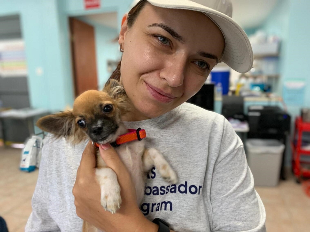 Delivering hurricane relief for pets in Puerto Rico