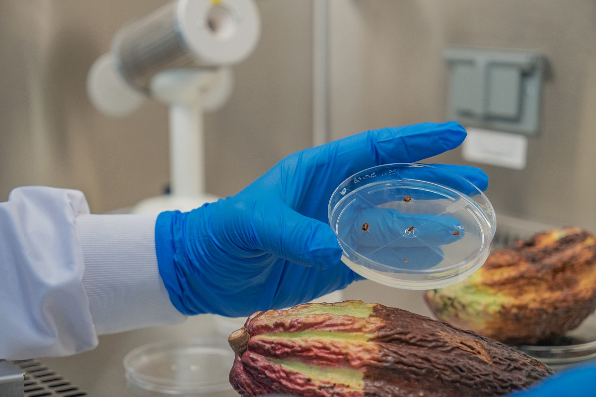 Mars La Chola in Ecuador Lab