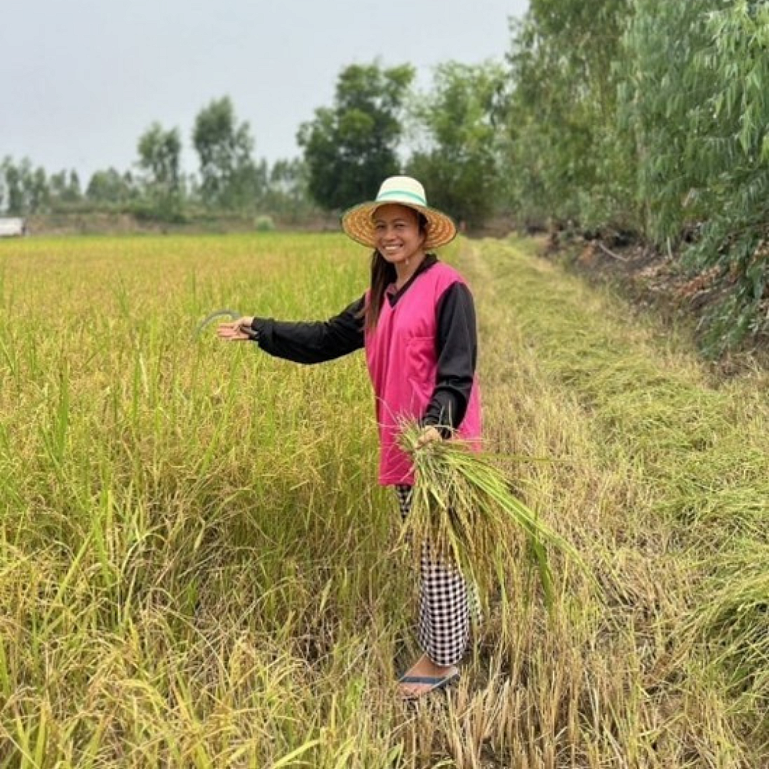 Rice farmer Jularak