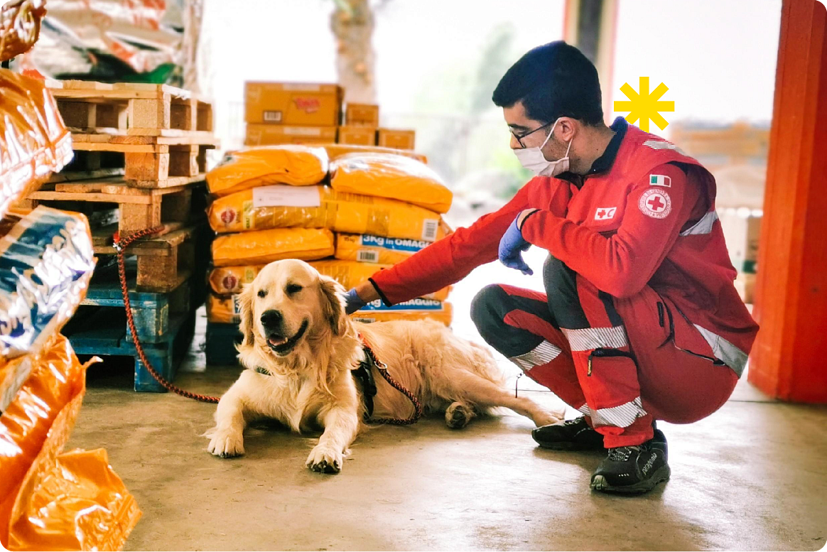 Disaster relief impact fund